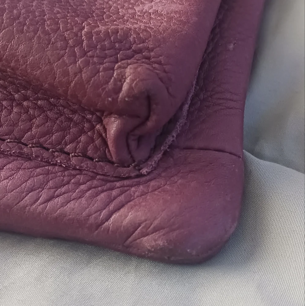 🗝️ Fossil - Picture 10 of 11